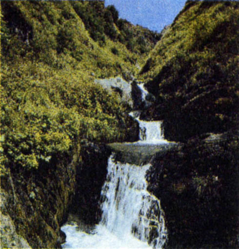 p147a