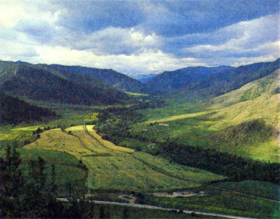 p153a
