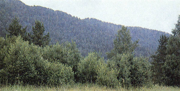 p155a