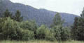 Click here -> 304x600 pix.