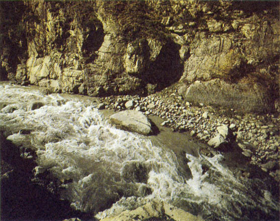 p231a