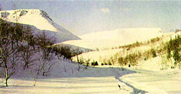p504b