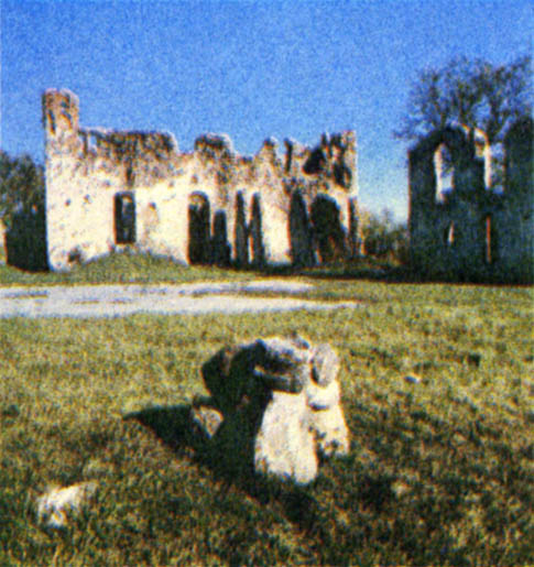 p261a