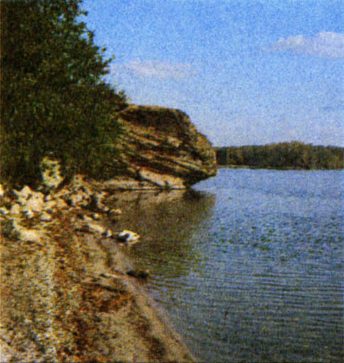 p261b