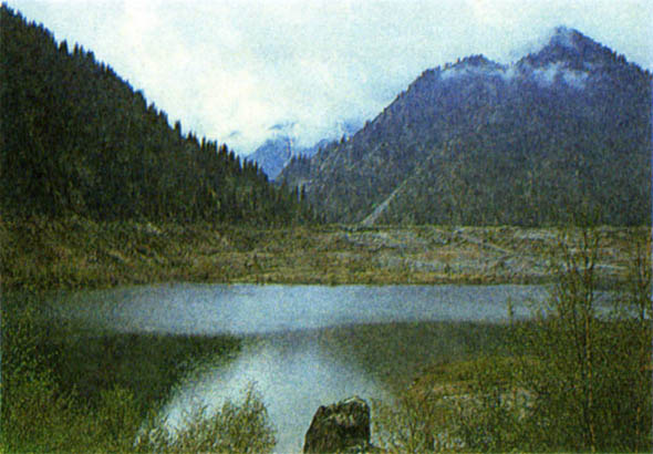 p268c