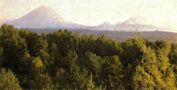 p276a