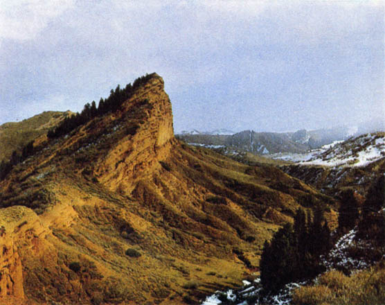 p291a