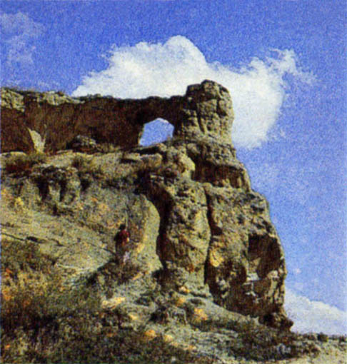 p295b