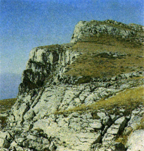 p313b