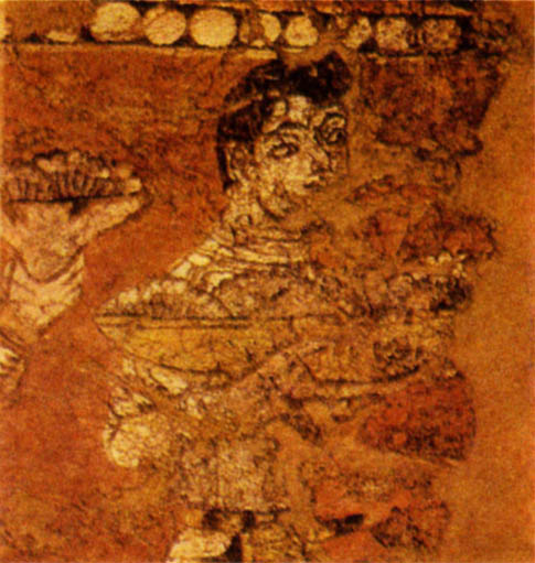 p316b
