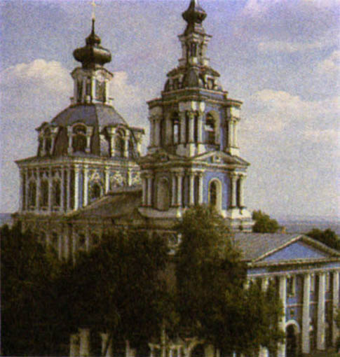 p317d