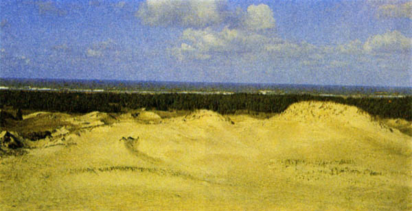 p318b