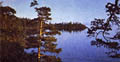 Click here -> 306x600 pix.