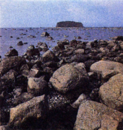 p323c