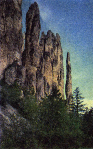 p324b