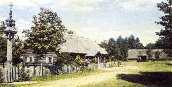 p331a