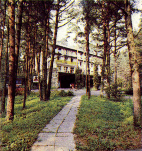 p195a