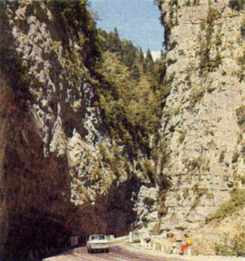 p249b